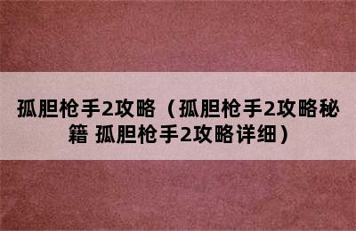 孤胆枪手2攻略（孤胆枪手2攻略秘籍 孤胆枪手2攻略详细）